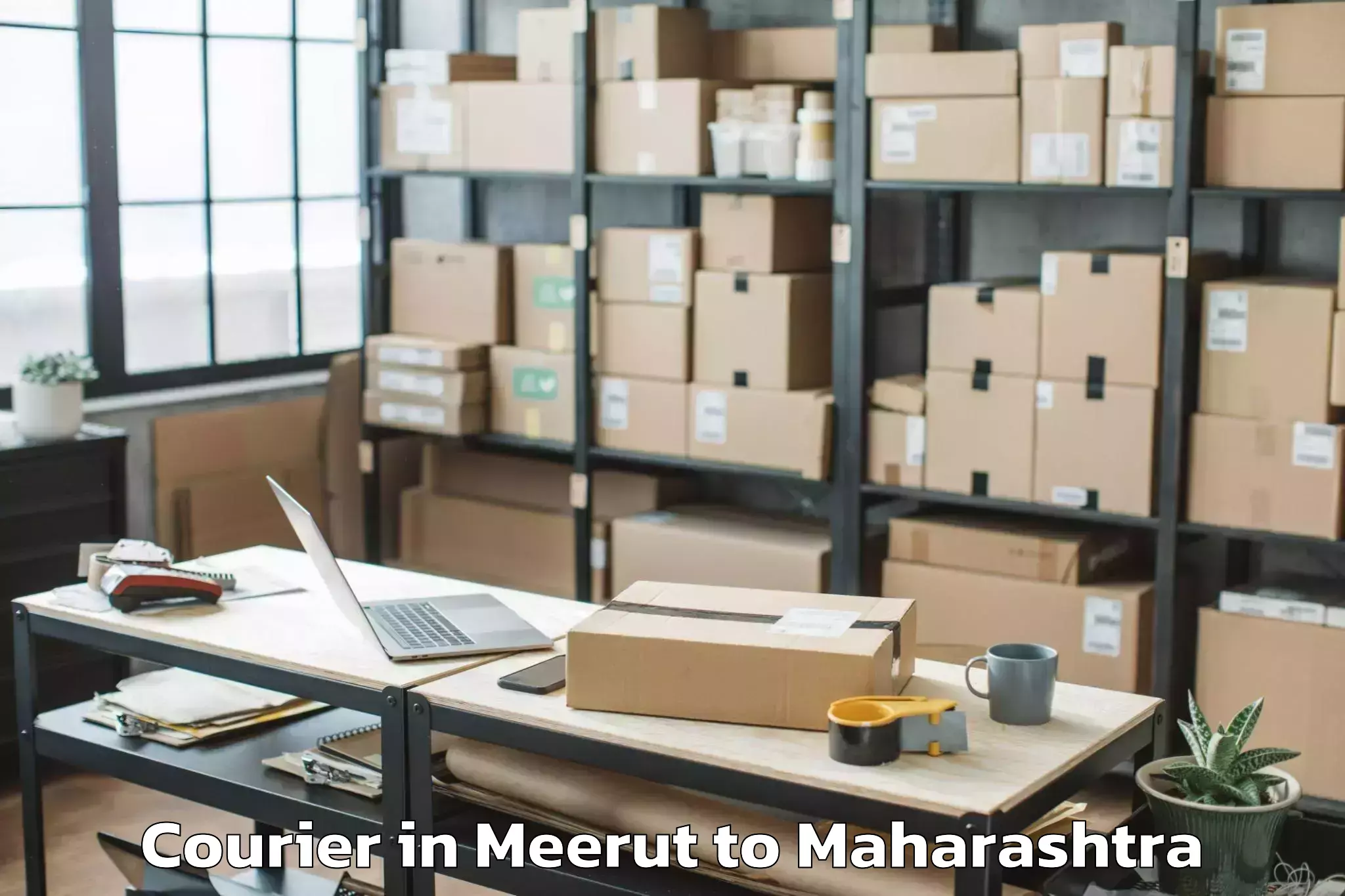 Expert Meerut to Bhamragarh Courier